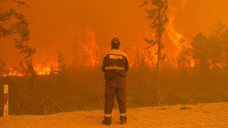 Siberian Wildfire Could Become Biggest in Recorded History – Greenpeace