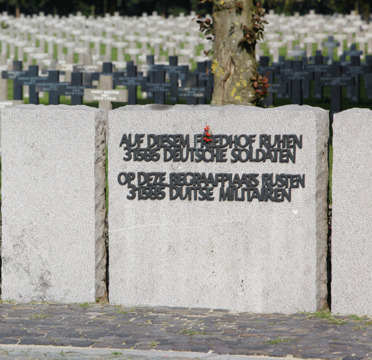 Zedelgem – SS – Rehabilitation in Belgium