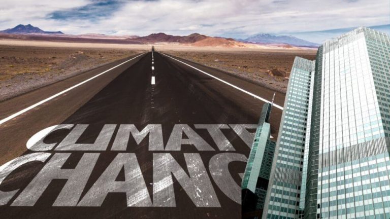 A race against time: The implications of the ECB climate action plan
