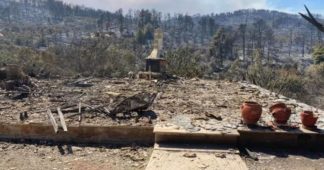Evia Fires: The Largest Environmental Catastrophe of Greece