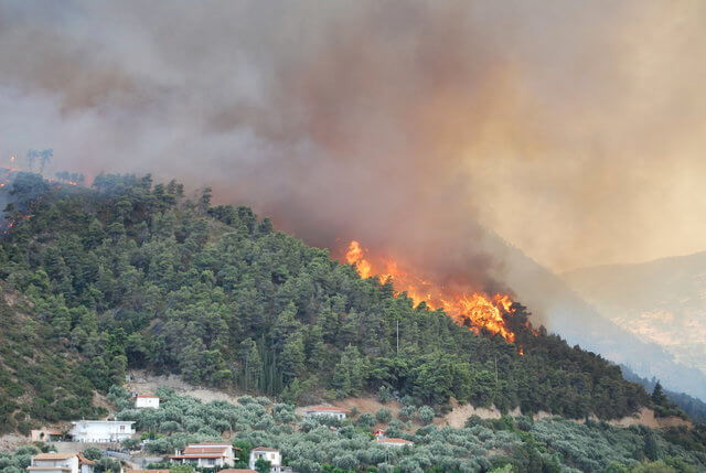 How Austerity Helped to Ignite Greece’s Historic Wildfires