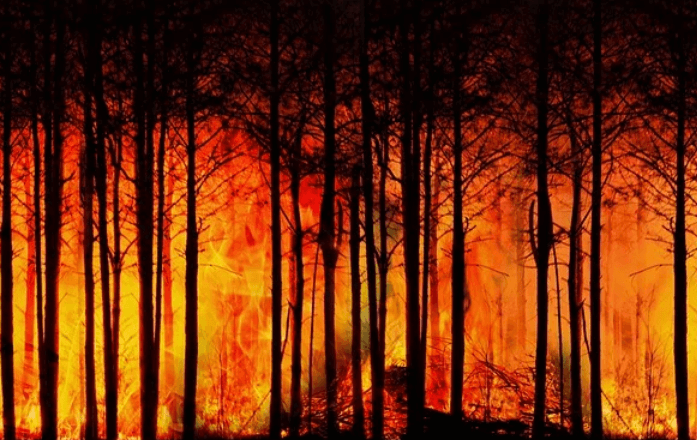 The Glasgow summit, climate change, and the case for socialism