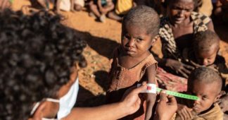 ‘Unprecedented’: Madagascar on Verge of World’s First Climate-Fueled Famine