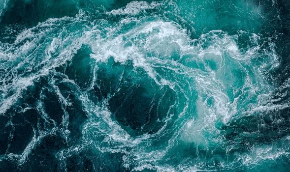 As corporations fight to control the Pacific, Biden must act to protect it