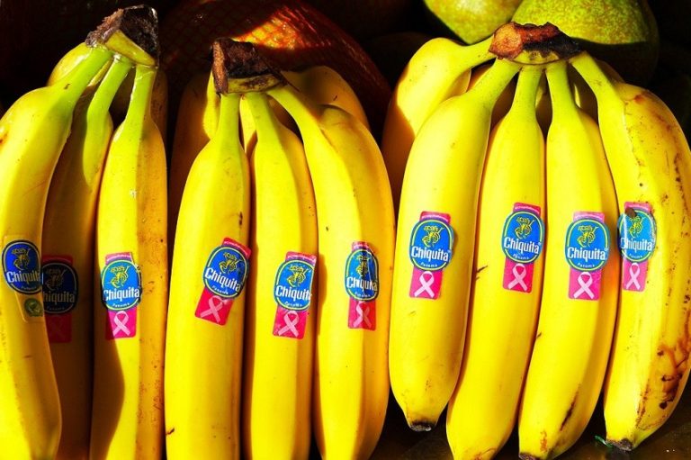 Les bananes au goût de sang : comment Chiquita a alimenté le conflit armé en Colombie