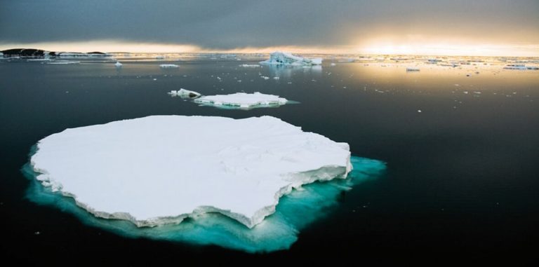Greenpeace ‘terrified’ by Antarctica’s record ice melting