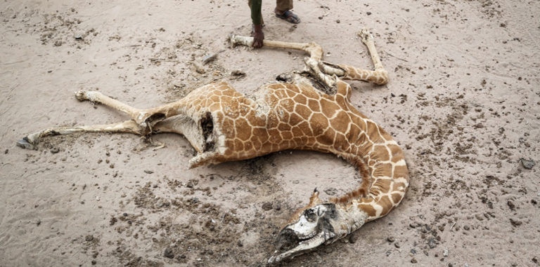 UN issues ‘bleakest warning yet’ on impacts of climate change