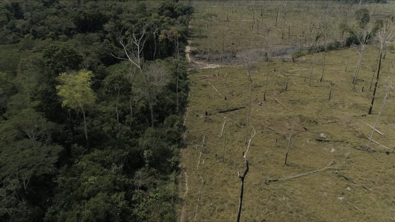 Pronounced loss of Amazon rainforest resilience since the early 2000s