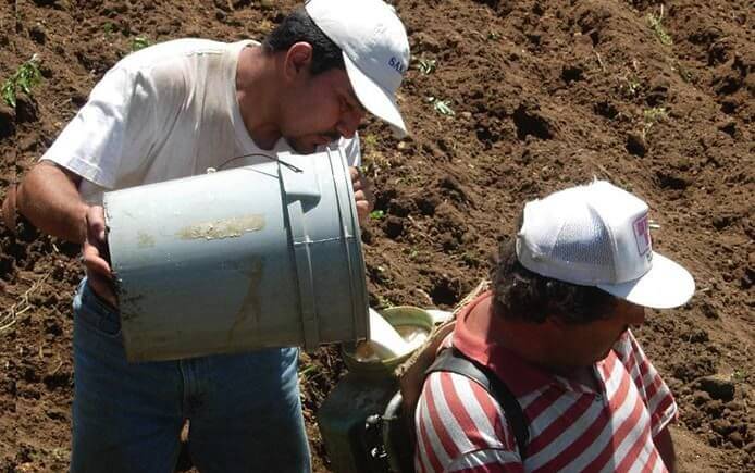 Double standard: Germany exporting banned pesticides