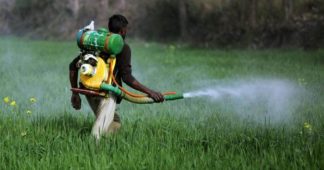 Green groups target poisonings from rising pesticides sales