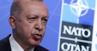 Turkey’s Erdogan Links Sweden, Finland NATO Bid to Return of ‘Terrorists’