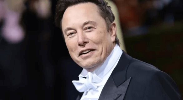 German politicians criticize Musk backing for far-right AfD