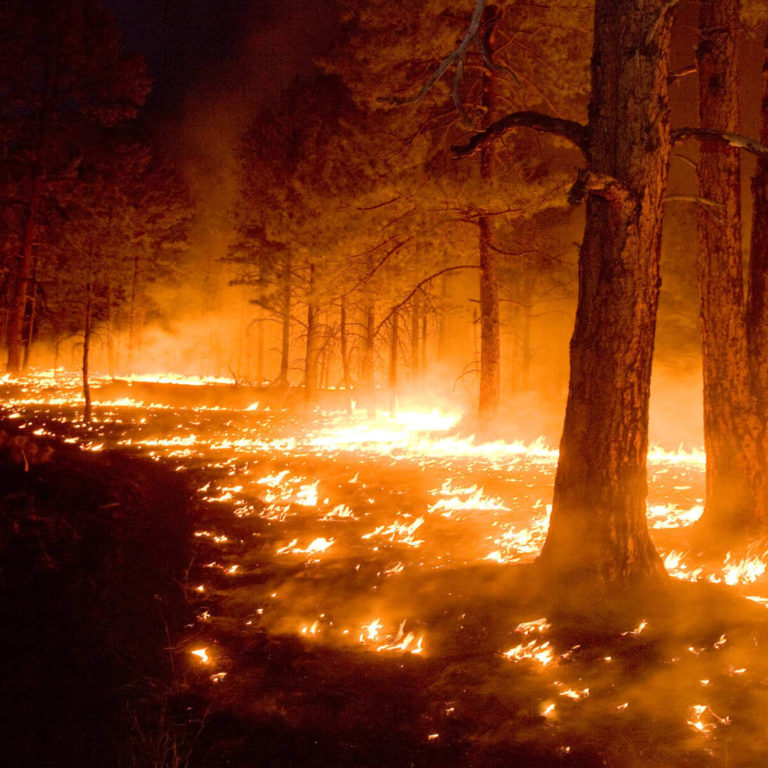 William deBuys, Welcome to the Pyrocene