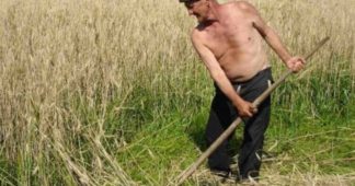 Stealing Ukrainian lands and using them to produce GMOs for Europe.