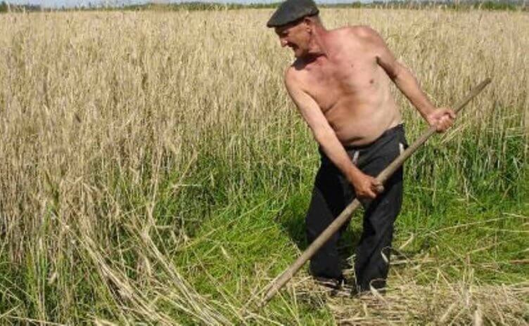 Stealing Ukrainian lands and using them to produce GMOs for Europe.