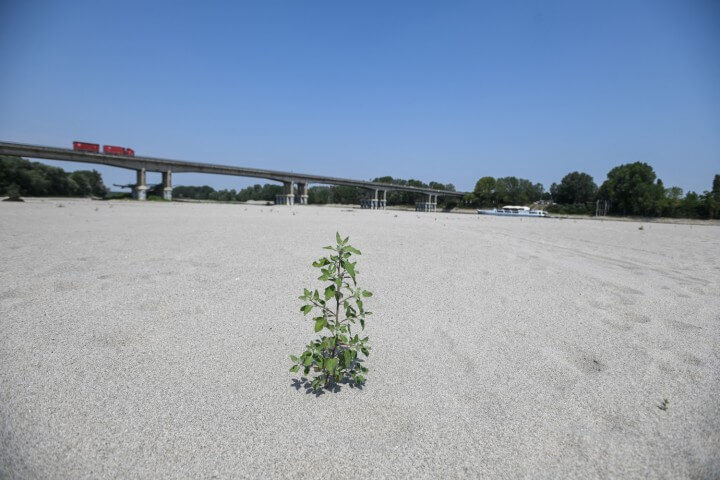 En Italie, une sécheresse historique menace l’agriculture