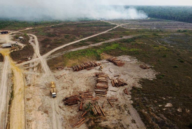 Brazil’s Runoff Election Will Have Enormous Effects on the Global Climate Crisis