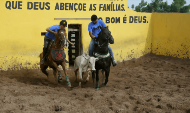 Bolsonarism after Bolsonaro