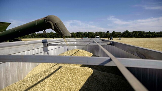 After Feared Global Food Shortage, Rift in EU Emerges Over Grain Glut