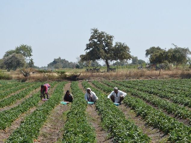 Modi’s Farm Produce Act Was Authored Thirty Years Ago, in Washington D.C.