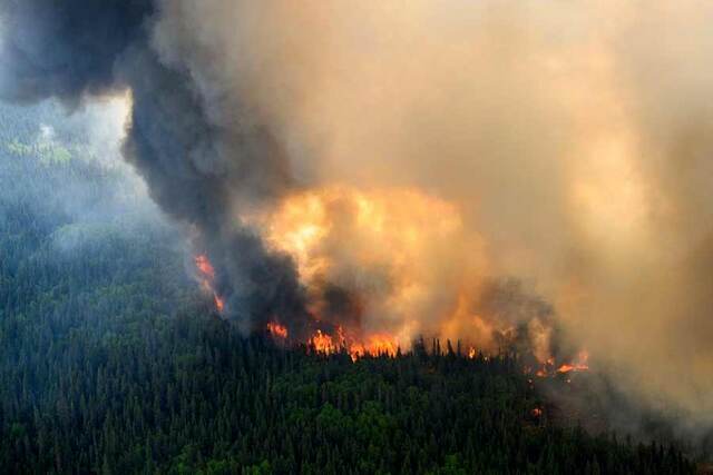 ‘Global boiling’: Billions already suffer in heat over 1.5C limit