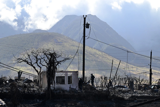 Fears of ‘Plantation Disaster Capitalism’ Mount in Wake of Maui Fires