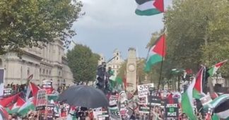Palestinian Solidarity Takes to the Streets Around the World