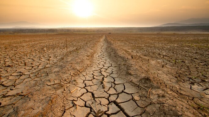 COP Out: Wrapping Up a Useless Climate Summit That Should Fool Nobody