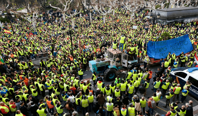 ‘They’re drowning us in regulations’: how Europe’s furious farmers took on Brussels and won
