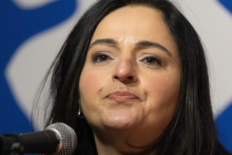 Sevim Dagdelen speaks out on NATO