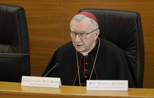 Zelensky’s peace plan insufficient to solve Ukrainian crisis — Vatican