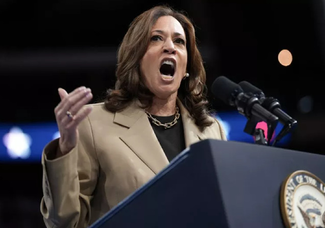Amid ‘free Palestine’ chants, Harris tells protesters ceasefire ‘now’