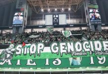 Stop Genocide, Free Palestine!