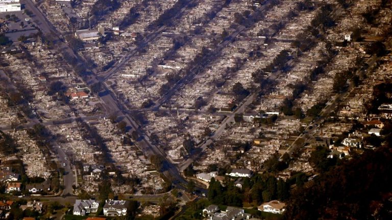 The Los Angeles fire disaster and the necessity of socialist planning