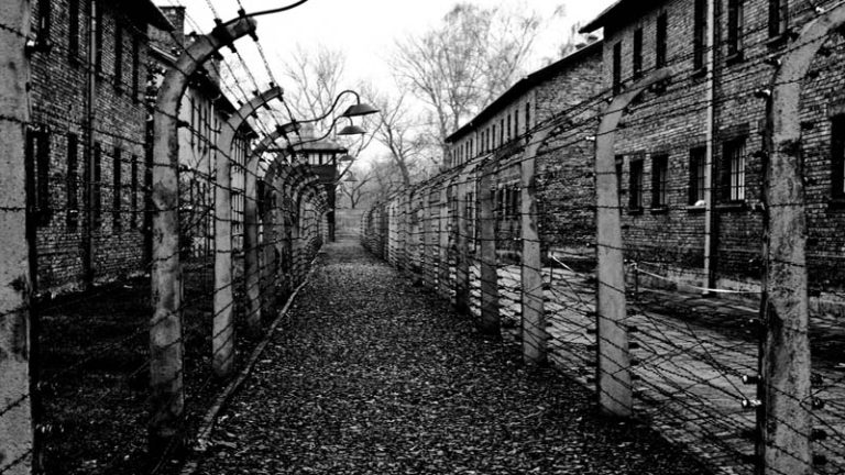 80th Anniversary of the Liberation of Auschwitz. An Expert Discussion