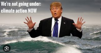 Trump. He wants to grab the oceans too!