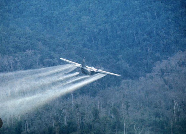 50 years later, Vietnam’s environment still bears the scars of war – and signals a dark future for Gaza and Ukraine