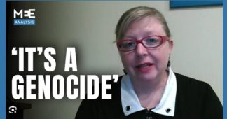 Israel committing genocide in Gaza, says top legal scholar Melanie O’Brien Israel committing genocide in Gaza, says top legal scholar Melanie O’Brien