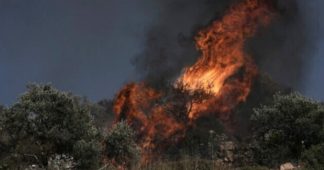 Two Palestinians, including US citizen, killed by settlers in West Bank attack — PA Two Palestinians, including US citizen, killed by settlers in West Bank attack — PA