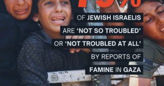Poll: 4 in 5 Jewish Israelis Not Troubled By Situation in Gaza
