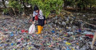As Deadline Looms, Advocates Call Plastics Treaty Draft ‘Nothing Short of a Betrayal’