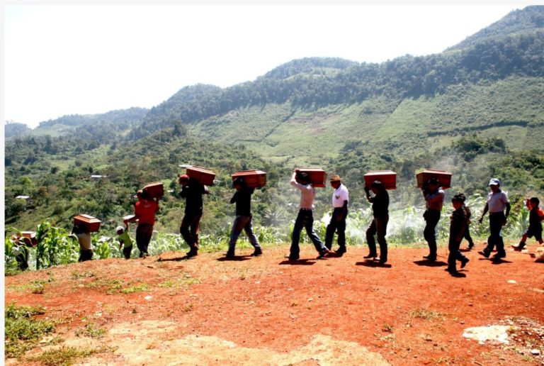 Chris Hedges Report: Israel Also Sponsored a Genocide in Guatemala