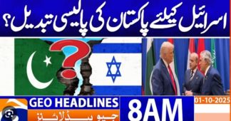 Pakistan doesn’t back all of Trump’s peace plan, says its UN representative