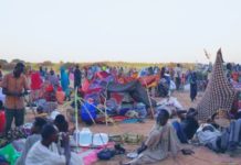 Calls Grow for US To End Arms Sales to the UAE Amid RSF Atrocities in Sudan’s El-Fasher