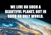 We Live in a MAD World