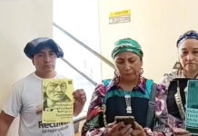 Les communautés mapuches manifestent pour défendre la vie de tous et toutes