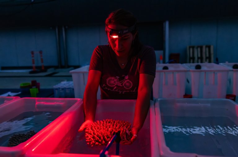 An exclusive look inside the largest effort ever mounted to keep the Great Barrier Reef alive