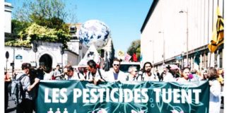 Des autorisations éternelles pour les pesticides : la Commission européenne persiste et signe