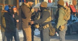 Where the Sidewalk Ends, the Lies Begin: On the Execution of Alex Pretti