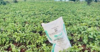 The war in Iran sparks a global fertilizer shortage and threatens food prices